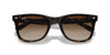 Ray-Ban RB4420 Havana/Brown #colour_havana-brown