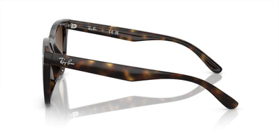 Ray-Ban RB4420 Havana/Brown #colour_havana-brown