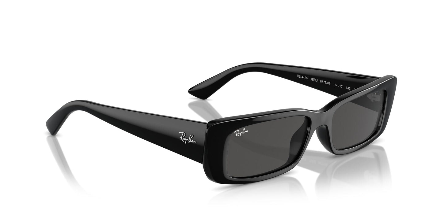 Ray-Ban Teru RB4425 Black/Dark Grey #colour_black-dark-grey