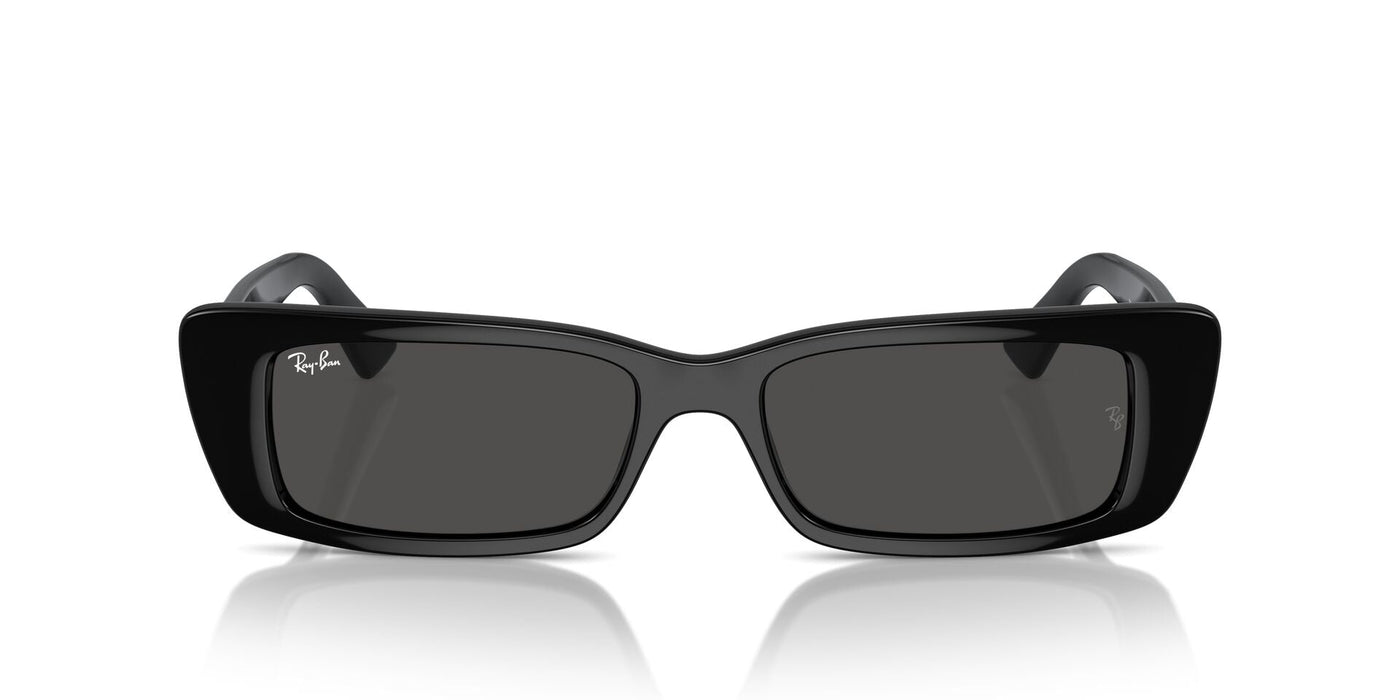 Ray-Ban Teru RB4425 Black/Dark Grey #colour_black-dark-grey