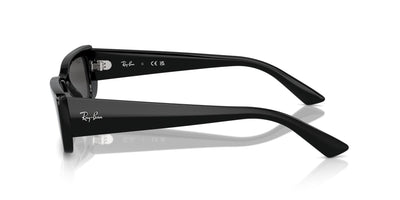 Ray-Ban Teru RB4425 Black/Dark Grey #colour_black-dark-grey