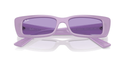 Ray-Ban Teru RB4425 Lilac/Violet #colour_lilac-violet