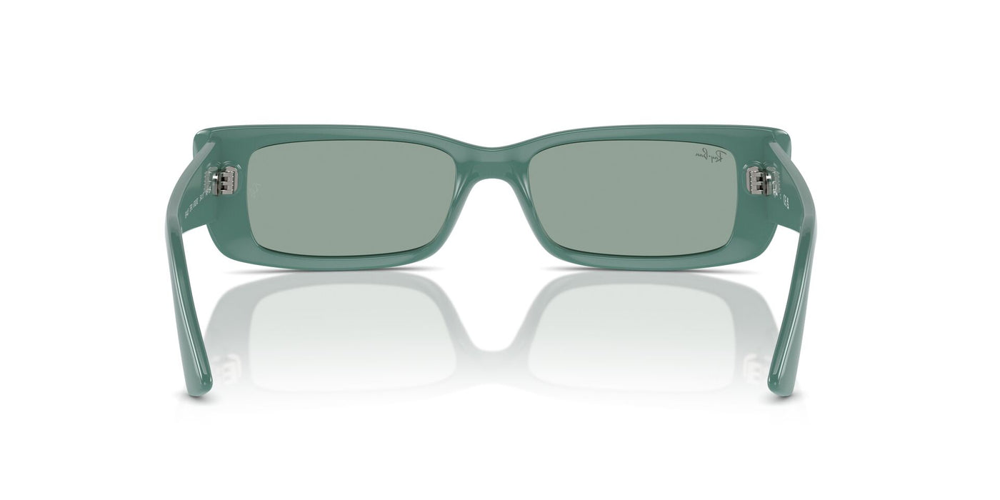 Ray-Ban Teru RB4425 Algae Green/Petrol Green #colour_algae-green-petrol-green