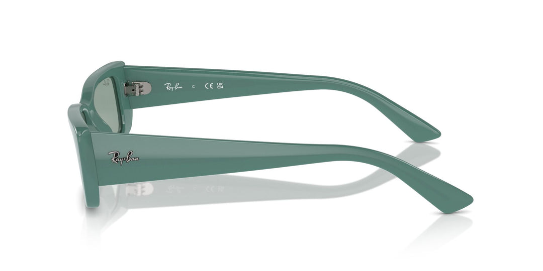 Ray-Ban Teru RB4425 Rectangle Sunglasses | Fashion Eyewear US