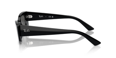 Ray-Ban Kat RB4427 Black/Dark Grey #colour_black-dark-grey