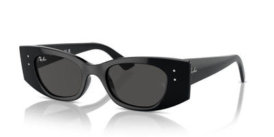 Ray-Ban Kat RB4427 Black/Dark Grey #colour_black-dark-grey