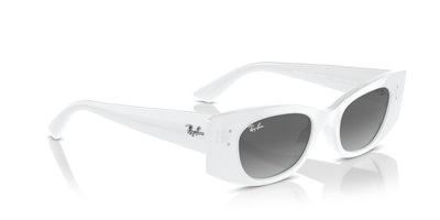 Ray-Ban Kat RB4427 White/Grey #colour_white-grey