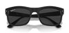 Ray-Ban RB4428#colour_black-black-polarised