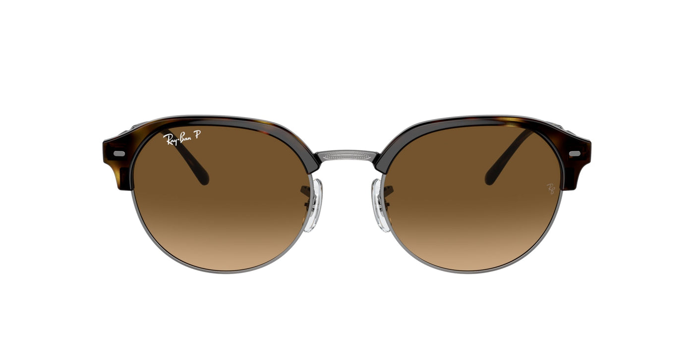 Ray-Ban RB4429 Havana On Gunmetal/Brown Polarised #colour_havana-on-gunmetal-brown-polarised