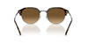 Ray-Ban RB4429 Havana On Gunmetal/Brown Polarised #colour_havana-on-gunmetal-brown-polarised