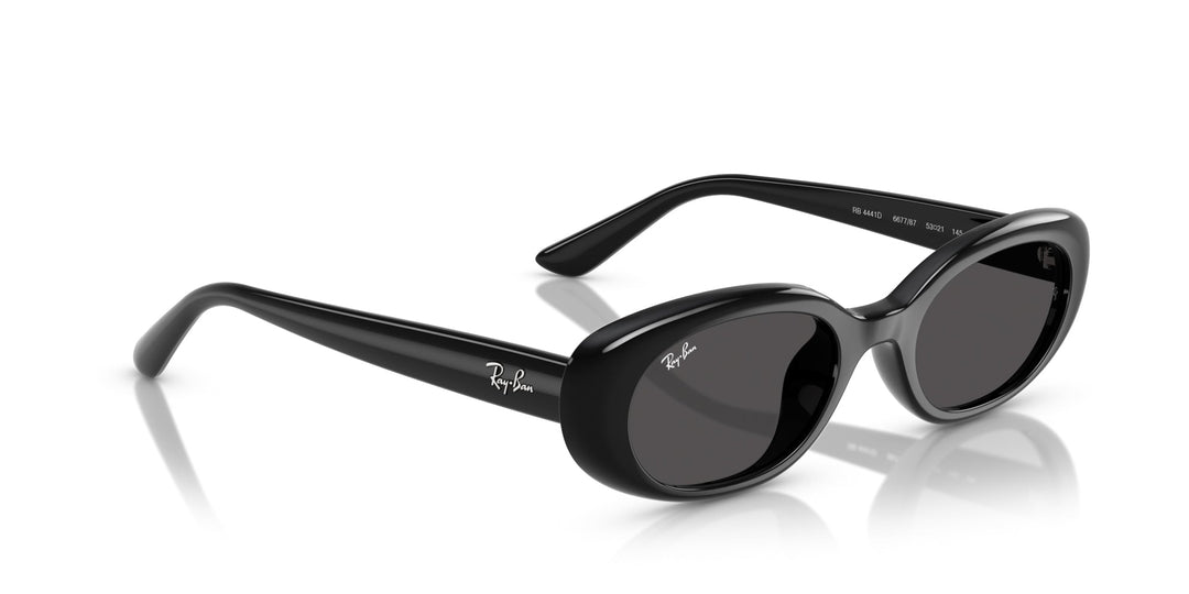Ray-Ban RB4441D Oval Sunglasses | Fashion Eyewear US display picture 1