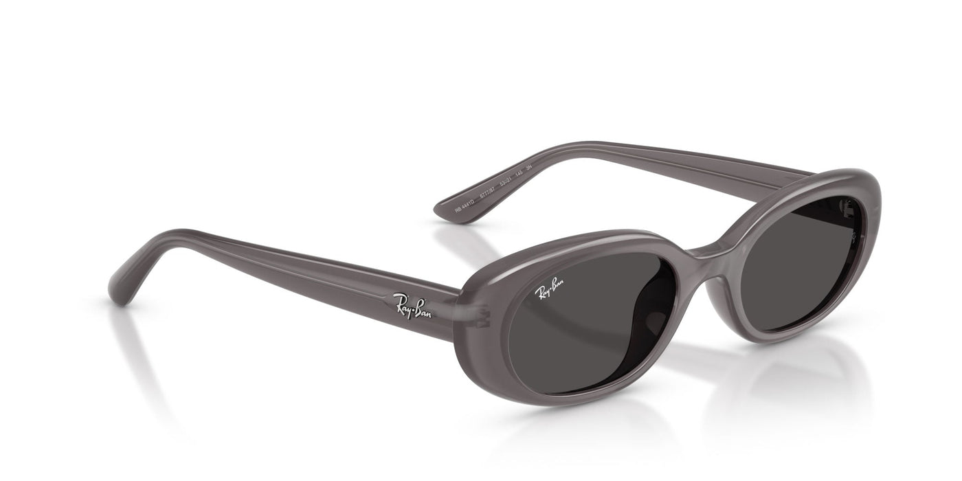 Ray-Ban RB4441D Transparent Dark Grey/Dark Grey #colour_transparent-dark-grey-dark-grey