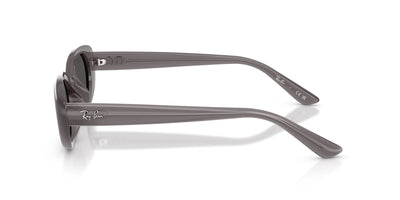 Ray-Ban RB4441D Transparent Dark Grey/Dark Grey #colour_transparent-dark-grey-dark-grey