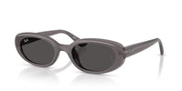 Ray-Ban RB4441D Transparent Dark Grey/Dark Grey #colour_transparent-dark-grey-dark-grey