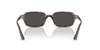 Ray-Ban Zuri RB4455 Havana/Dark Grey #colour_havana-dark-grey