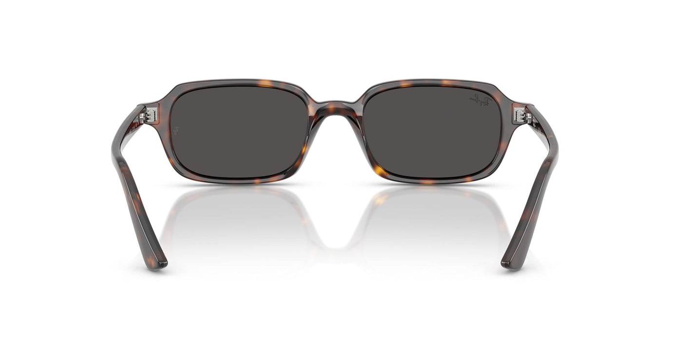 Ray-Ban Zuri RB4455 Havana/Dark Grey #colour_havana-dark-grey
