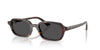 Ray-Ban Zuri RB4455 Havana/Dark Grey #colour_havana-dark-grey