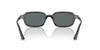 Ray-Ban Zuri RB4455 Black/Dark Grey Polarised #colour_black-dark-grey-polarised