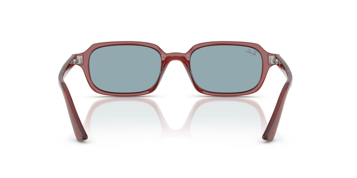 Ray-Ban Zuri RB4455 Rusty Brown/Blue #colour_rusty-brown-blue
