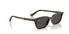 Ray-Ban Zaya RB4456 Havana/Dark Grey #colour_havana-dark-grey