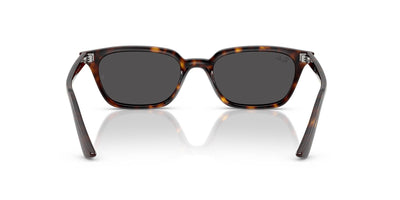 Ray-Ban Zaya RB4456 Havana/Dark Grey #colour_havana-dark-grey