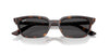 Ray-Ban Zaya RB4456 Havana/Dark Grey #colour_havana-dark-grey