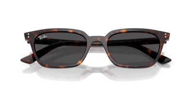 Ray-Ban Zaya RB4456 Havana/Dark Grey #colour_havana-dark-grey