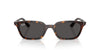 Ray-Ban Zaya RB4456 Havana/Dark Grey #colour_havana-dark-grey