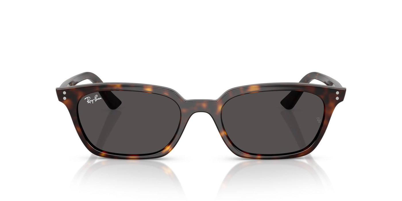 Ray-Ban Zaya RB4456 Havana/Dark Grey #colour_havana-dark-grey