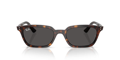 Ray-Ban Zaya RB4456 Havana/Dark Grey #colour_havana-dark-grey