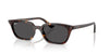 Ray-Ban Zaya RB4456 Havana/Dark Grey #colour_havana-dark-grey