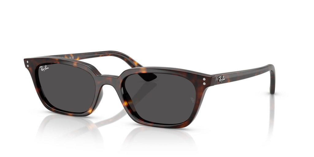 Ray-Ban Zaya RB4456 Havana/Dark Grey #colour_havana-dark-grey