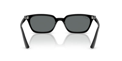 Ray-Ban Zaya RB4456 Black/Dark Grey Polarised #colour_black-dark-grey-polarised