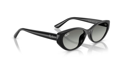 Ray-Ban RB4457D Black/Grey Gradient #colour_black-grey-gradient