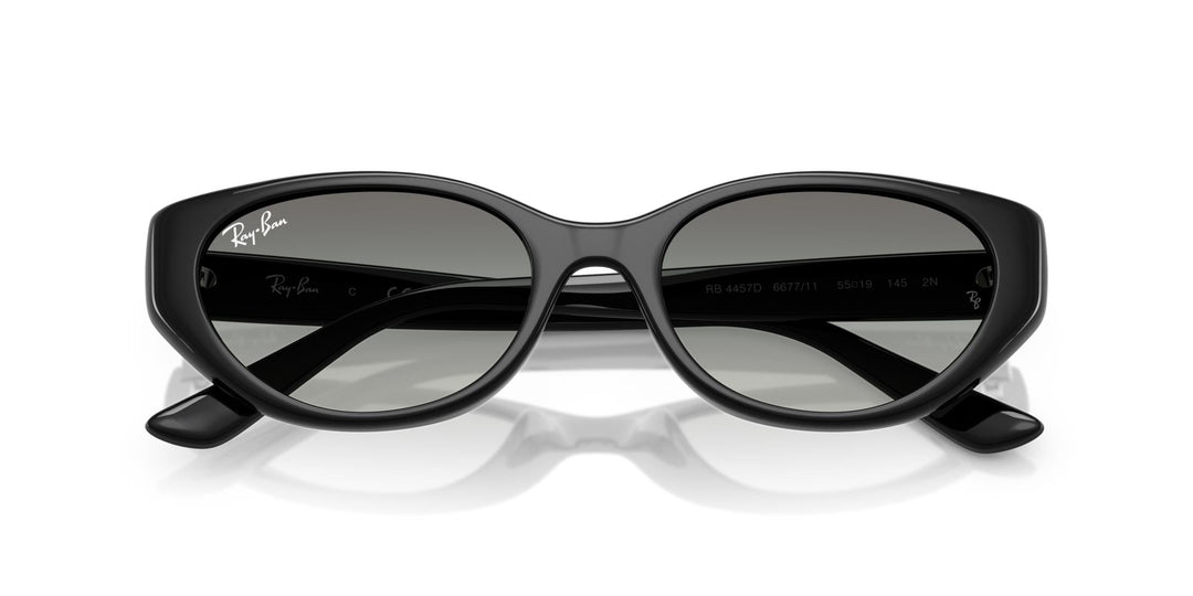 Ray-Ban RB4457D Rectangle Sunglasses | Fashion Eyewear US