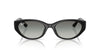 Ray-Ban RB4457D Black/Grey Gradient #colour_black-grey-gradient