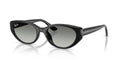 Ray-Ban RB4457D