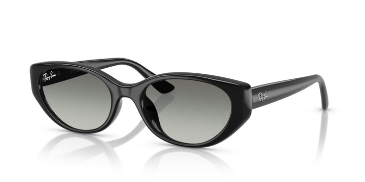 Ray-Ban RB4457D Rectangle Sunglasses | Fashion Eyewear US