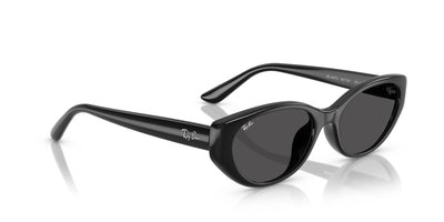 Ray-Ban RB4457D Black/Dark Grey #colour_black-dark-grey