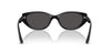Ray-Ban RB4457D Black/Dark Grey #colour_black-dark-grey