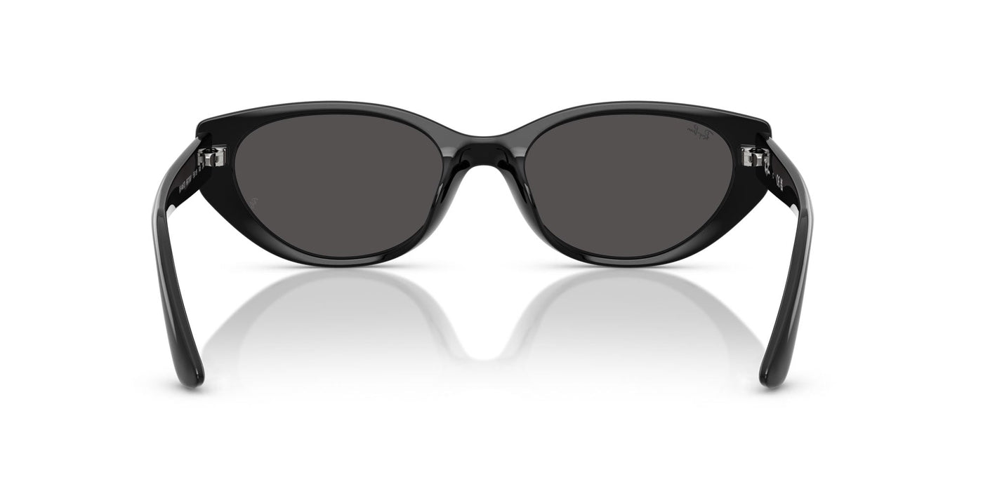Ray-Ban RB4457D Black/Dark Grey #colour_black-dark-grey