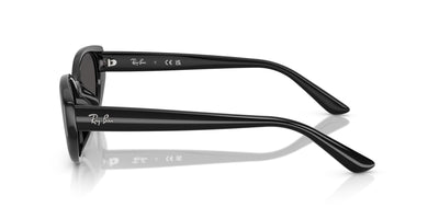 Ray-Ban RB4457D Black/Dark Grey #colour_black-dark-grey
