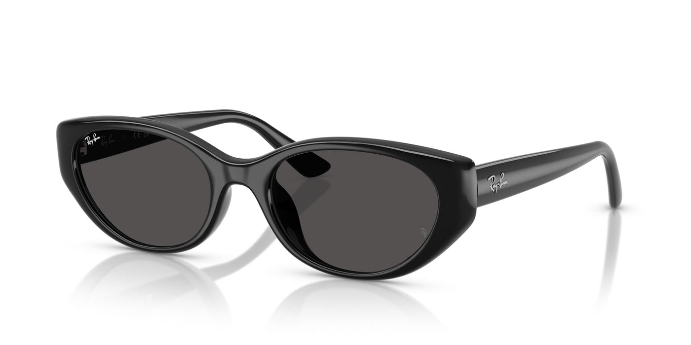 Ray-Ban RB4457D Black/Dark Grey #colour_black-dark-grey