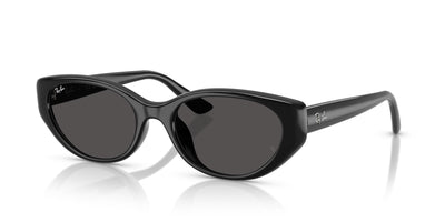 Ray-Ban RB4457D Black/Dark Grey #colour_black-dark-grey