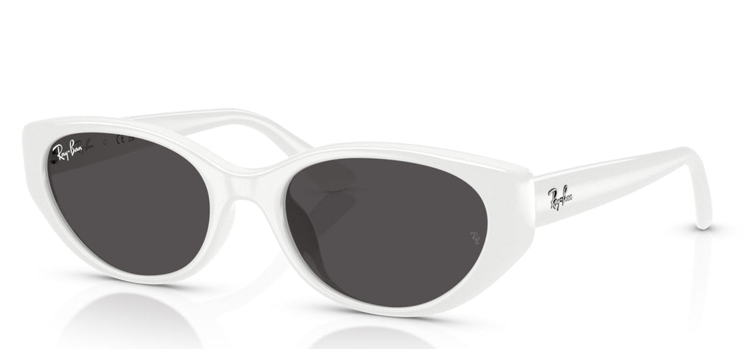 Ray-Ban RB4457D Rectangle Sunglasses | Fashion Eyewear US
