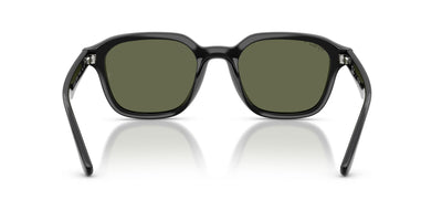Ray-Ban RB4458D Black/Dark Green Polarised #colour_black-dark-green-polarised