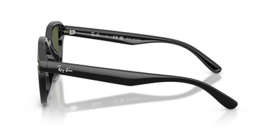 Ray-Ban RB4458D Black/Dark Green Polarised #colour_black-dark-green-polarised