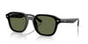 Ray-Ban RB4458D Black/Dark Green Polarised #colour_black-dark-green-polarised