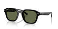 Ray-Ban RB4458D