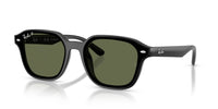Ray-Ban RB4458D Black/Dark Green Polarised #colour_black-dark-green-polarised